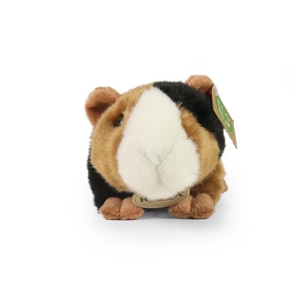 Pliušinis jūrų kiaulytės žaislas Rappa - 22 cm, ekologiškas 2