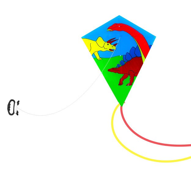 skraidantys aitvarų gyvūnai, 62 x 75 cm 1
