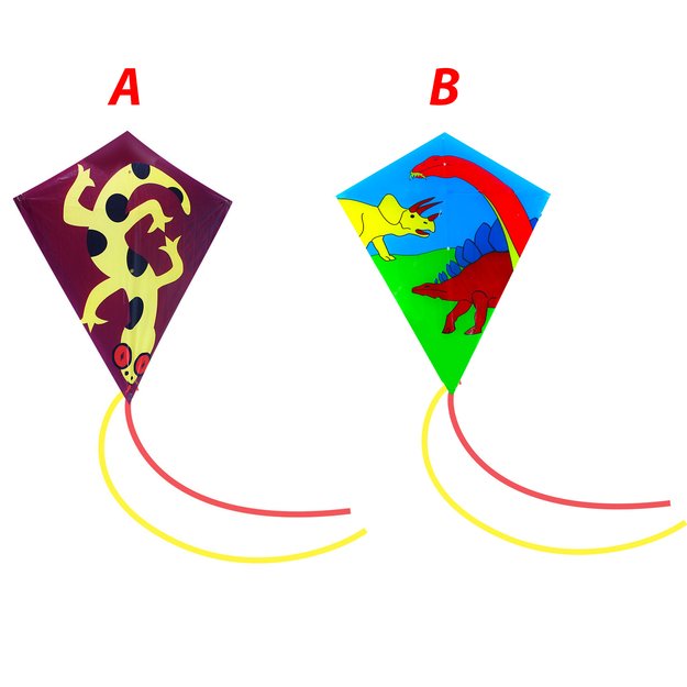 skraidantys aitvarų gyvūnai, 62 x 75 cm 3