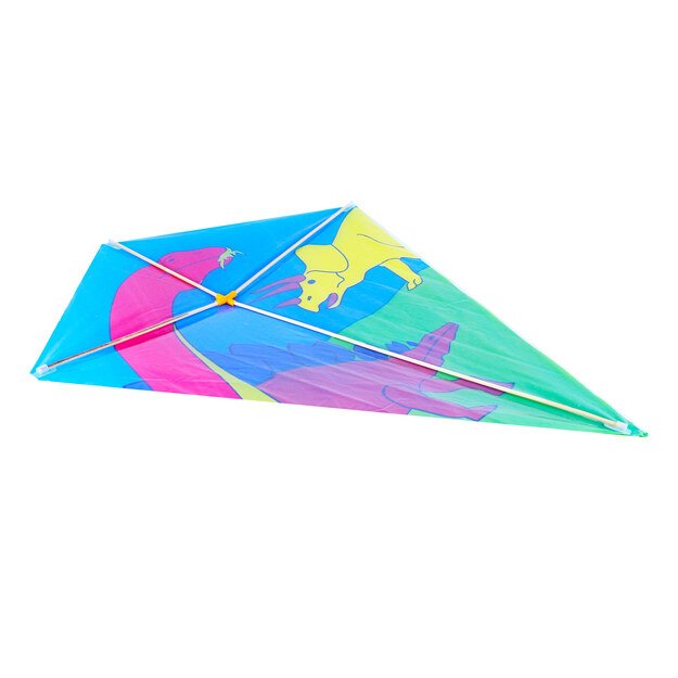 skraidantys aitvarų gyvūnai, 62 x 75 cm 4