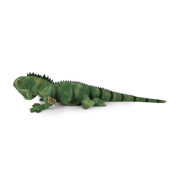 Pliušinė iguana žalia 70 cm EKOLOGIŠKA 3