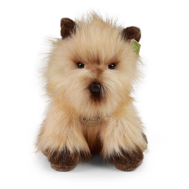 Plush Cairn terrier dog 30cm ECO-F. 1
