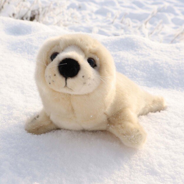 Pliušinis plomba 32 cm EKOLOGIŠKAS 5