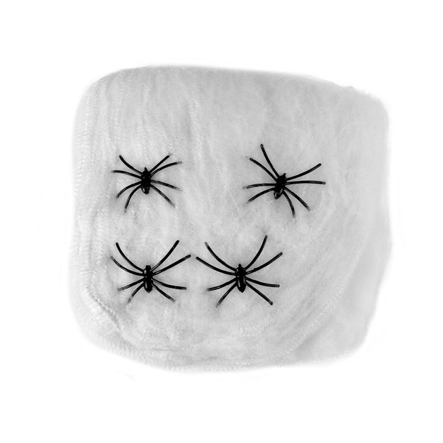 Baltas voratinklis su vorais 1