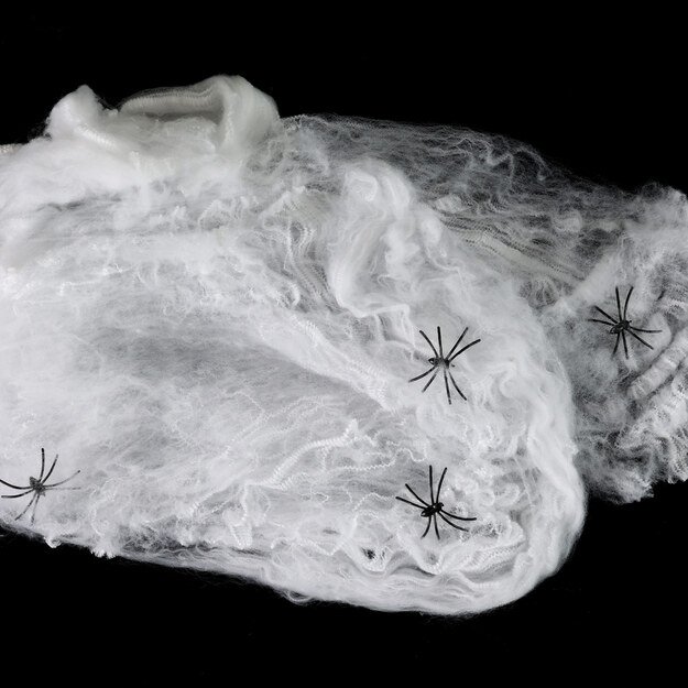 Baltas voratinklis su vorais 3