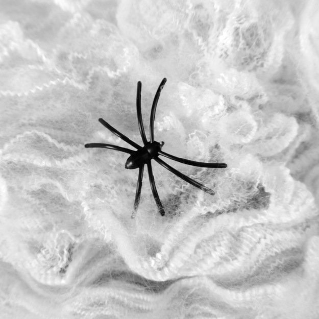 Baltas voratinklis su vorais 4