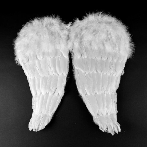 Angelo sparnai su plunksnomis 48 cm 4