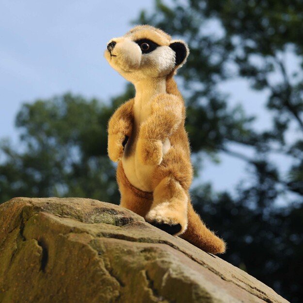 Pliušinis surikatas 30 cm EKOLOGIŠKAS 5