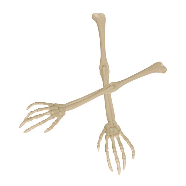 Rankų skeleto dekoracijos 2 vnt. 3