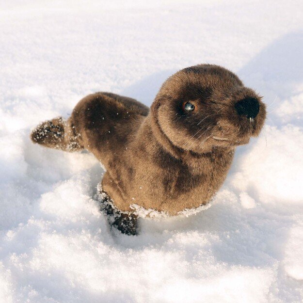 Plush seal 24 cm ECO-FRIENDLY 4