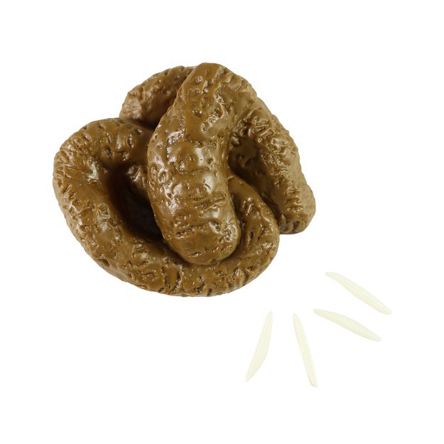 Poop/slurry with caterpillars