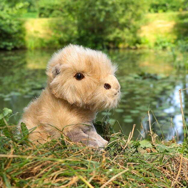 Plush capybara 18 cm ECO-FRIENDLY