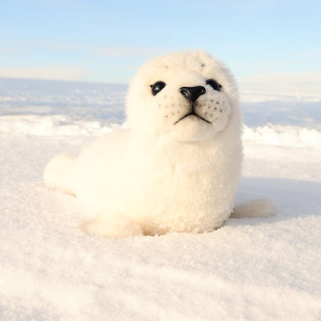 Plush seal 30 cm ECO-FRIENDLY