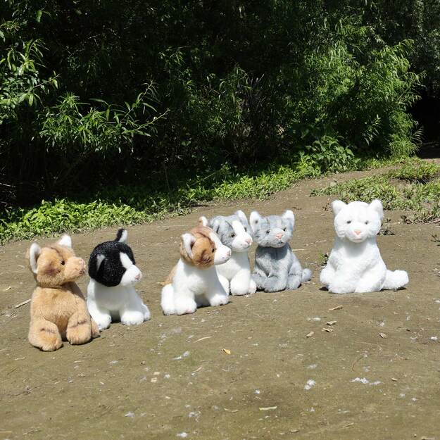 Plush cats assort 14 cm ECO-FRIENDLY