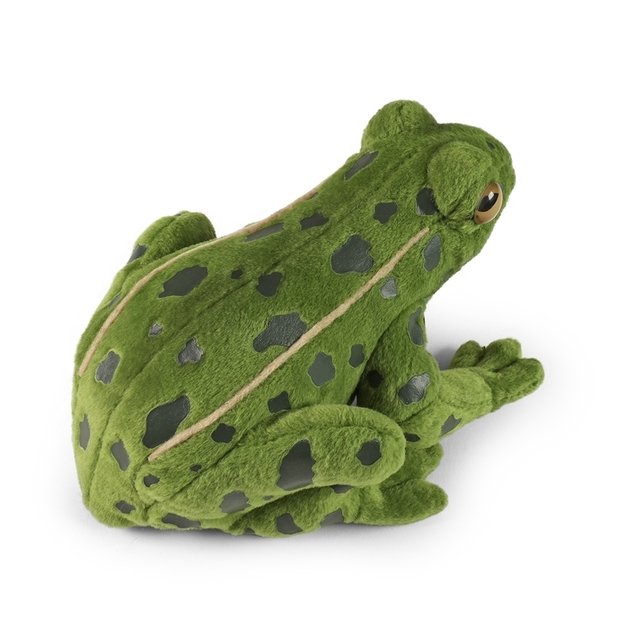 Rappa - Plush realistic green frog stuffed animal 19 cm Eco-Friendly 4