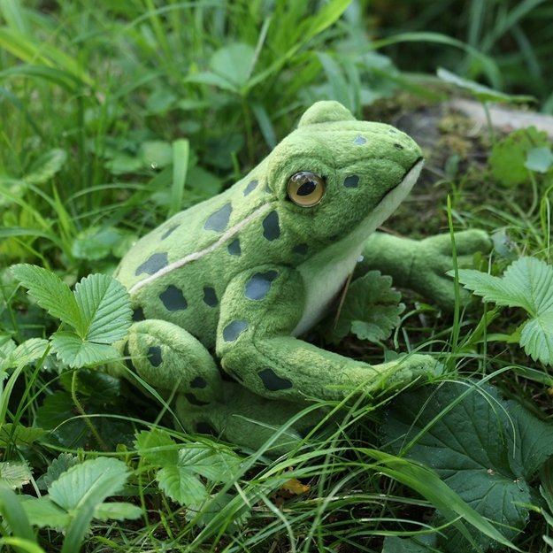 Rappa - Plush realistic green frog stuffed animal 19 cm Eco-Friendly 5