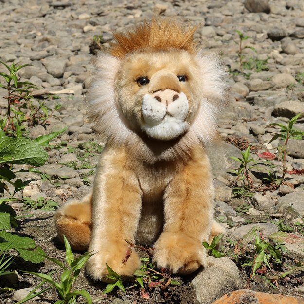 Plush lion 30 cm ECO-FRIENDLY