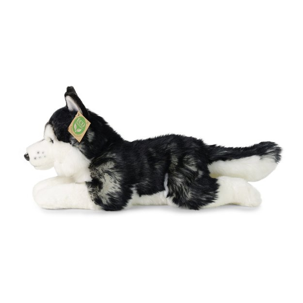 Plush Husky 36 cm ECO-FRIENDLY