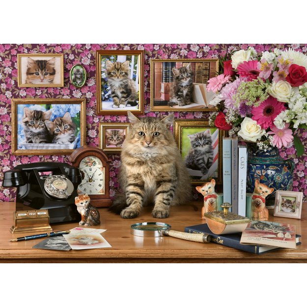 Ravensburger Puzzle 1000 Pieces: My Cute Kitty