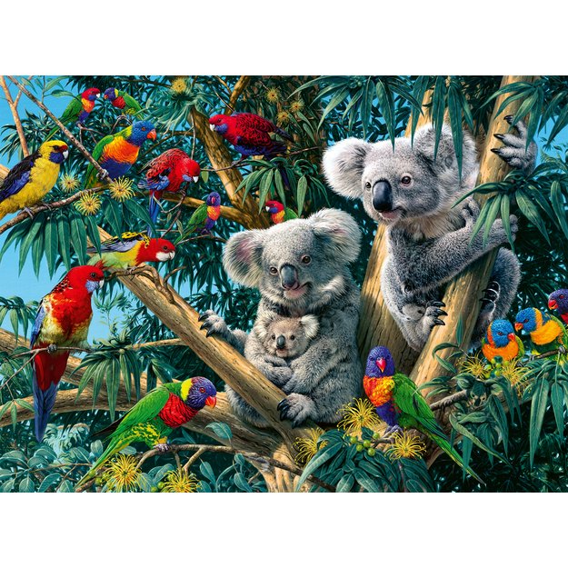 Ravensburger Puzzle 500 pc Koalas on a Tree