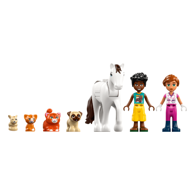 LEGO Friends Animal Vet Clinic