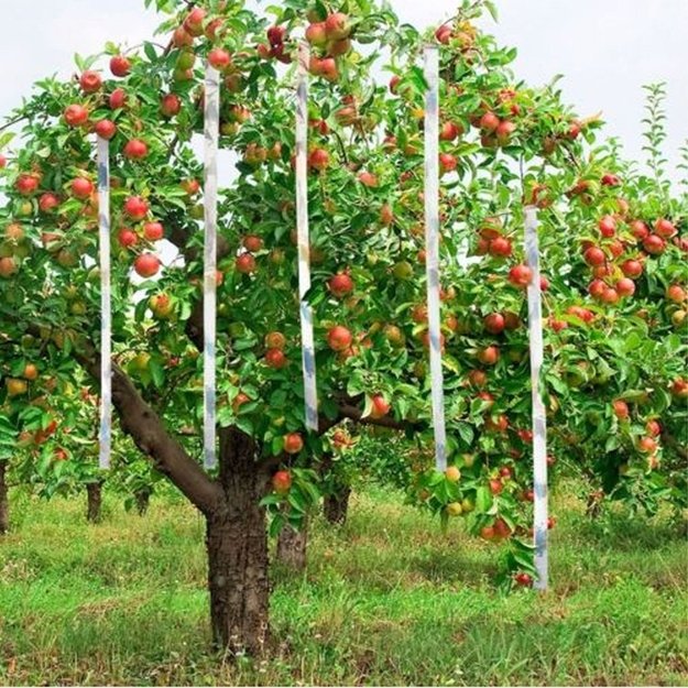 Kinzo - Paukščius atbaidanti juosta sodo medžiams, 45 m ilgio 12