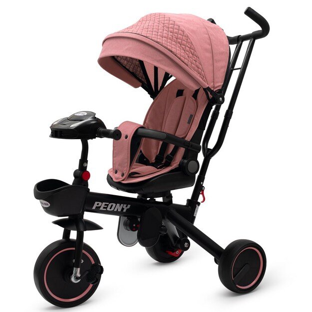 ANTROS KOKYBĖS „Baby Mix Peony EVA Pink“ vaikiškas triratukas