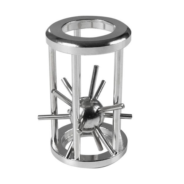 the metallic conundrum-hedgehog in cage