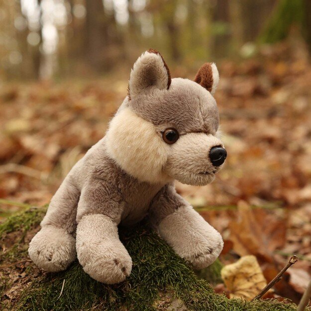 Pliušiniai miško gyvūnai, įvairūs, 15 cm, ECO-F. 7