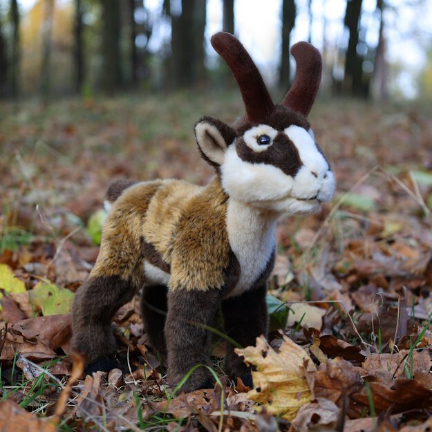 Plush chamois 24 cm ECO-FRIENDLY 1