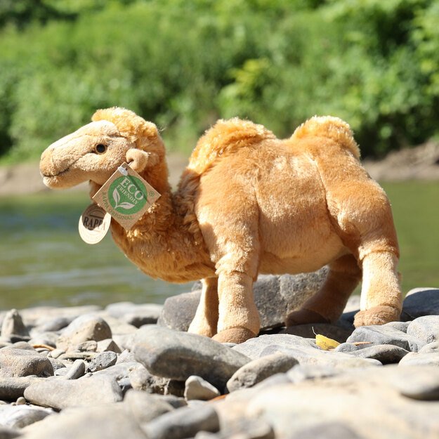 Plush camel 24 cm ECO-FRIENDLY 5