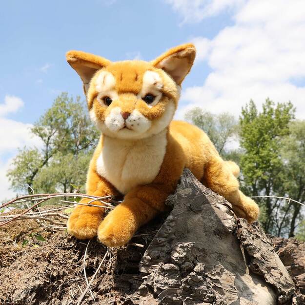 Pliušinis Abisinijos katinas 30 cm EKOLOGIŠKAS 5