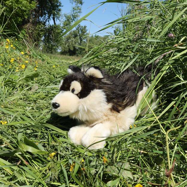 Pliušinis vilkas 32 cm EKOLOGIŠKAS 5