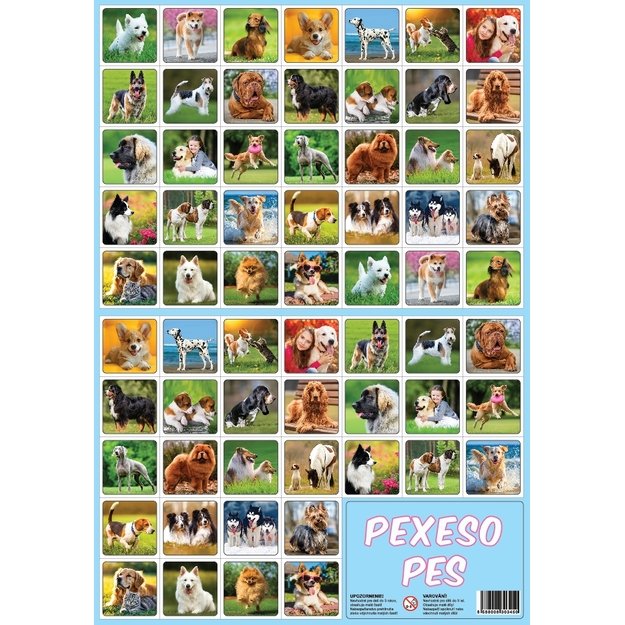 Memory game DOG