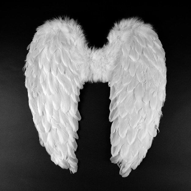 Angelo sparnai su plunksnomis 55 cm 4
