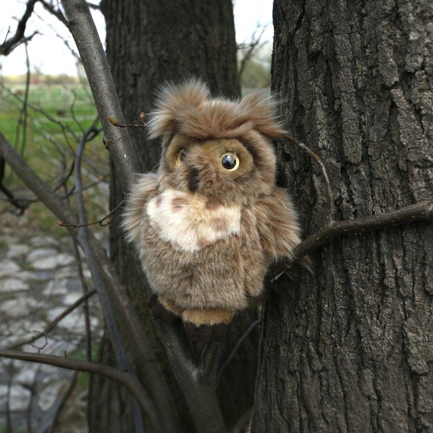 Plush eagle-owl 17 cm ECO-FRIENDLY 4