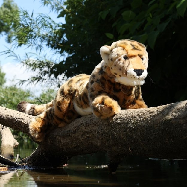 Rappa - pliušinis realistiškas žaislas gulintis gepardas 48 cm, ekologiškas 10