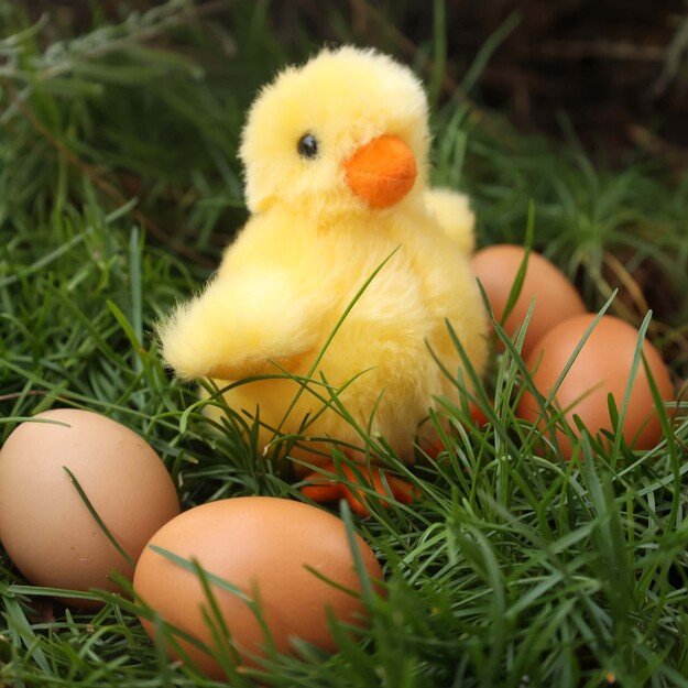 Plush chicken 10 cm ECO-FRIENDLY 3