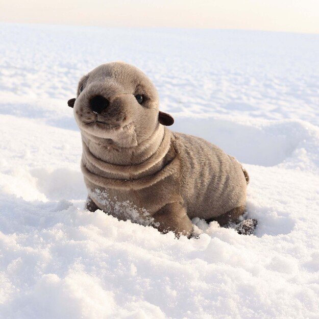 Plush seal 30 cm ECO-FRIENDLY 5