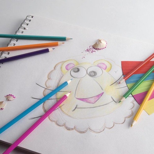 Topwrite - Dvipusių pieštukų rinkinys 24 spalvos/12 vnt. 2