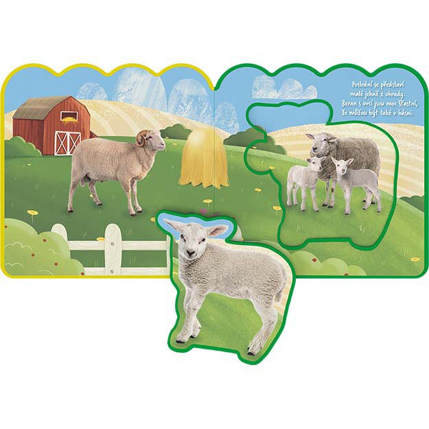 My first leporelo On the farm