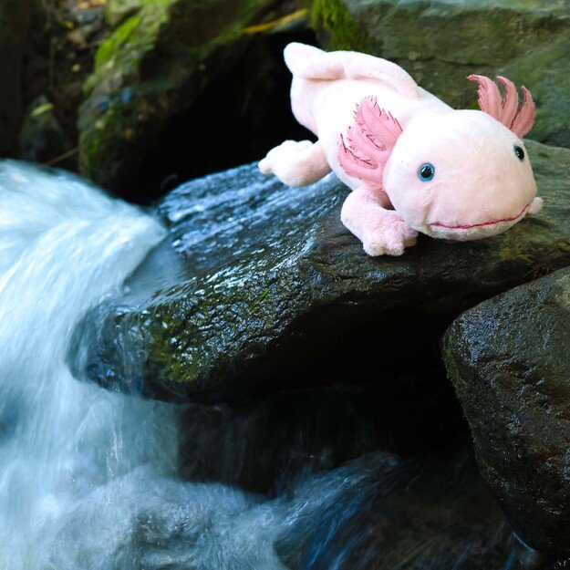 Plush axolotl 33 cm ECO-FRIENDLY