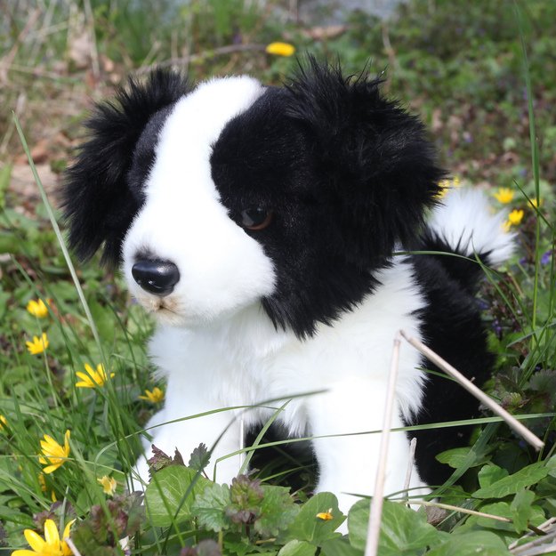 Plush Border Collie 27 cm ECO-FRIENDLY