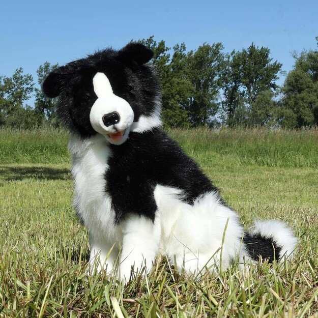 Plush Border Collie 40 cm ECO-FRIENDLY