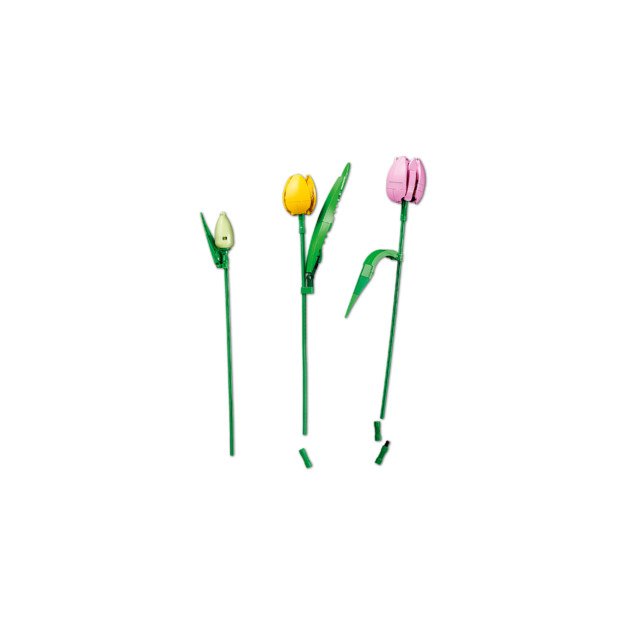 LEGO Botanicals Tulip Bouquet