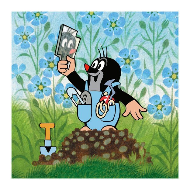 Puzzle 3x55 Mole and panties