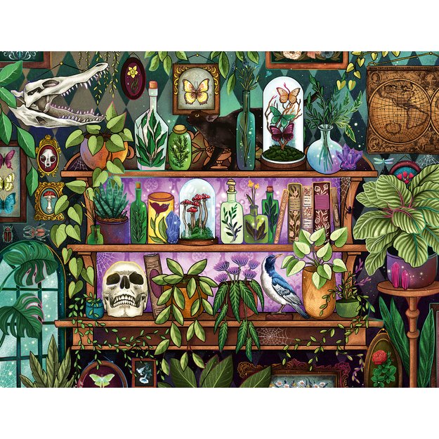 Ravensburger Puzzle 2000 pc Wizard s Shelf