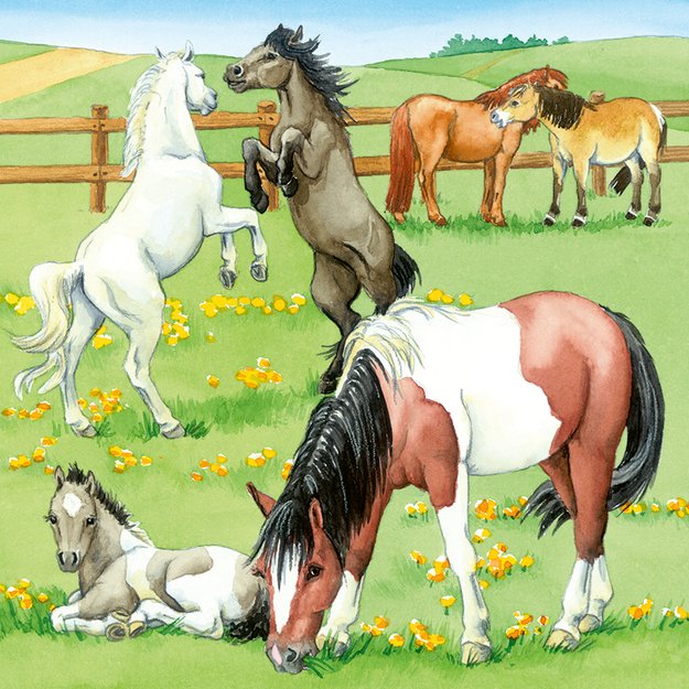 Ravensburger Puzzle 3x49 Pieces: Horses