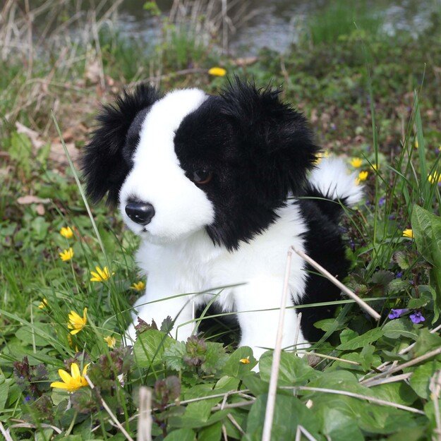 Plush Border Collie 27 cm ECO-FRIENDLY 5