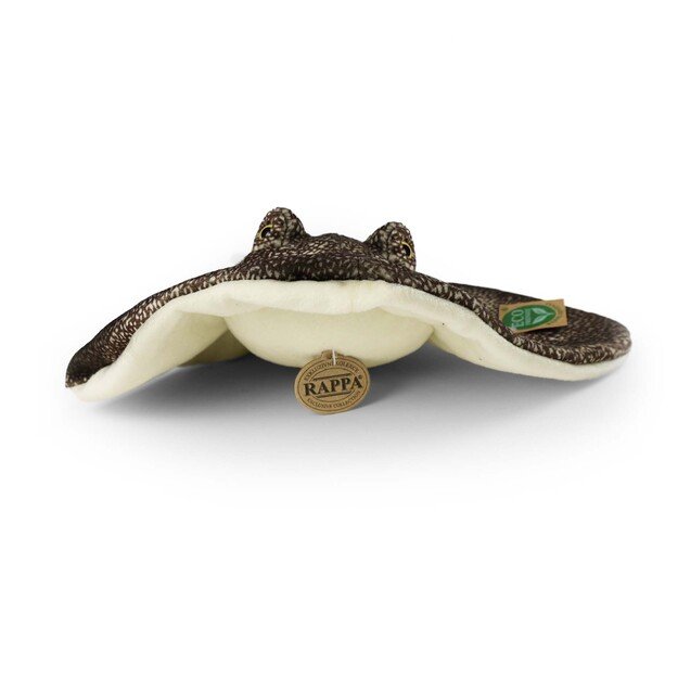 Pliušinis spindulys 50 cm EKOLOGIŠKAS 2